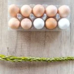 Brown eggs vs White eggs