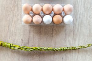 Brown eggs vs White eggs