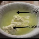 how is whey protein made?