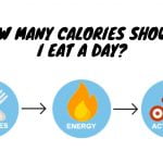 How Many Calories Should I Eat a Day
