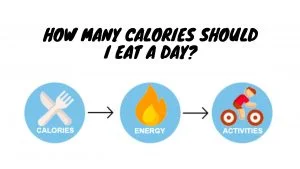 How Many Calories Should I Eat a Day