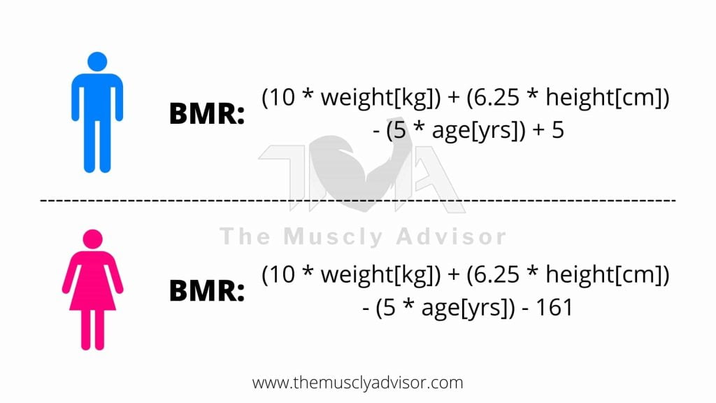 How to calculate BMR?